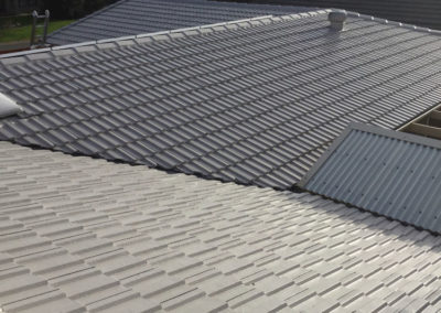 Roof painters western suburbs